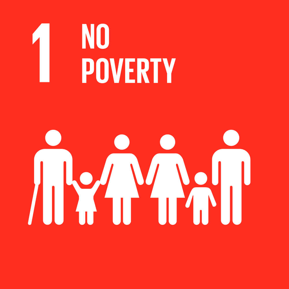 SDG goal 1 - no poverty
